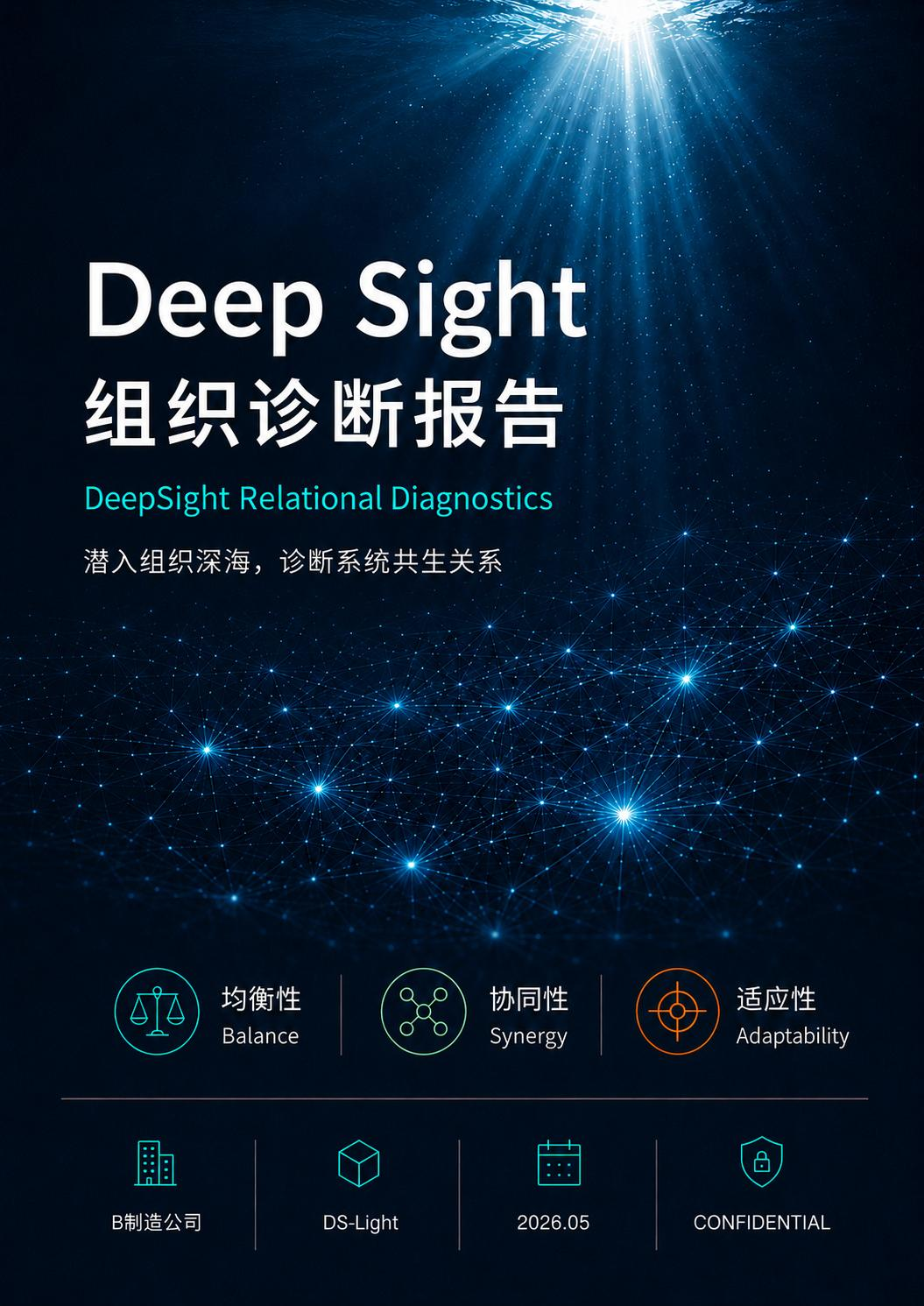 DeepSight 组织诊断报告封面