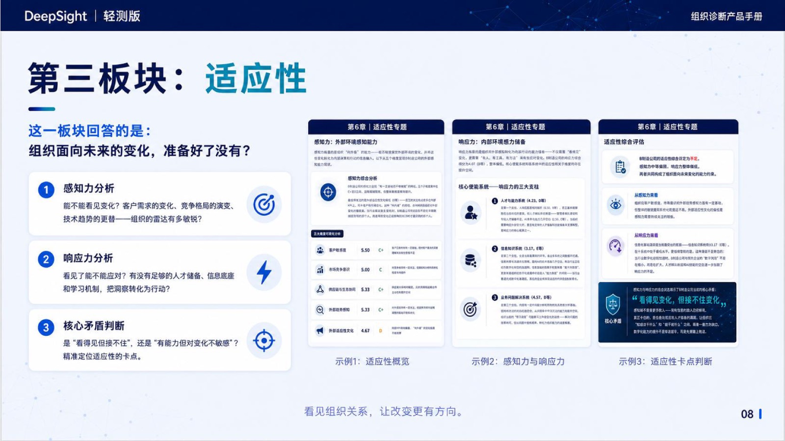 适应性板块报告页